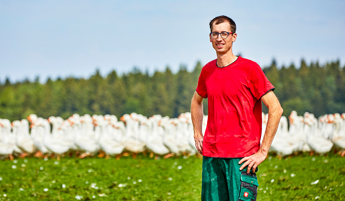 Friedhelm Unterweger vor einer Gänseherde auf den Weideflächen des Neuhauserhofs in Dietenheim.