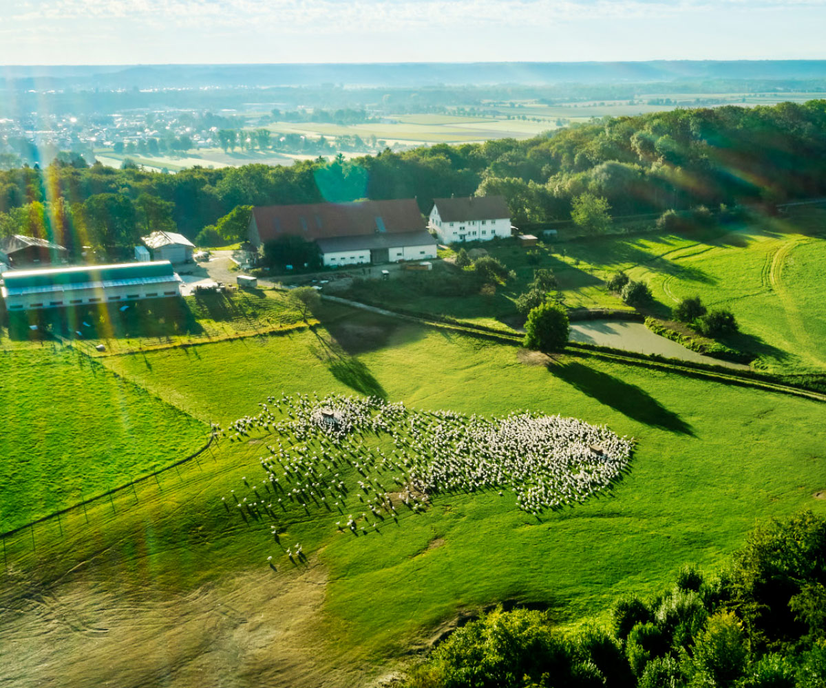 Luftaufnahme des Neuhauserhofs in Dietenheim mit Weideflächen und Bio-Geflügel.